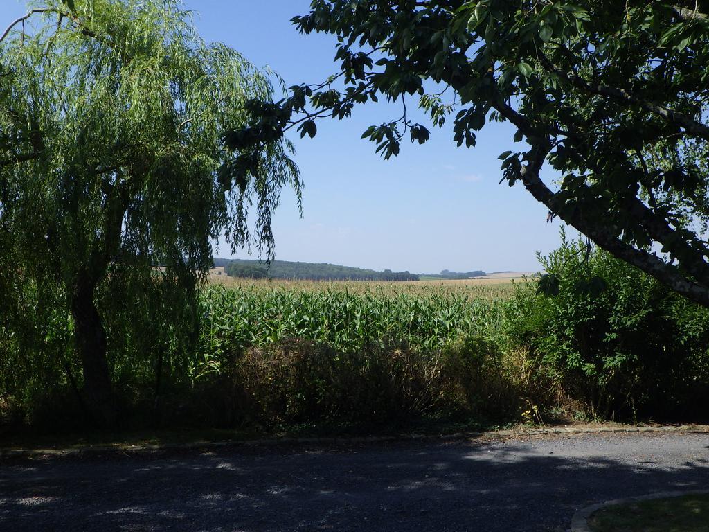 Les Gites Du Vieux Frene Longavesnes Kültér fotó